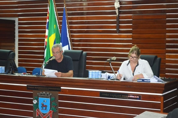 Imagem da notícia: Câmara realiza Audiência Pública sobre as diretrizes orçamentárias