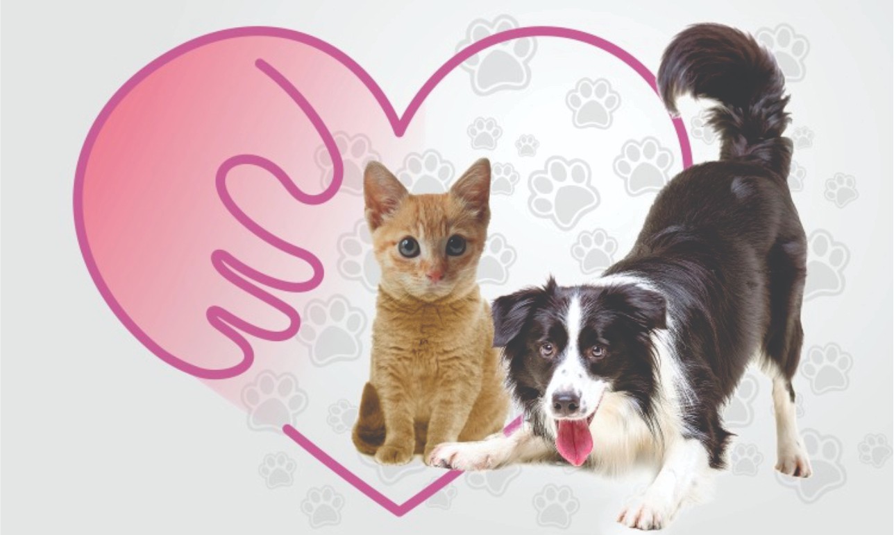 Imagem da notícia: Itanhaém sanciona lei que cria o Conselho Municipal de Proteção e Defesa dos Animais