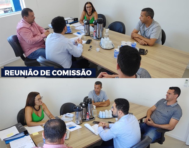 Imagem da notícia: O que é uma “Reunião de Comissão”?
